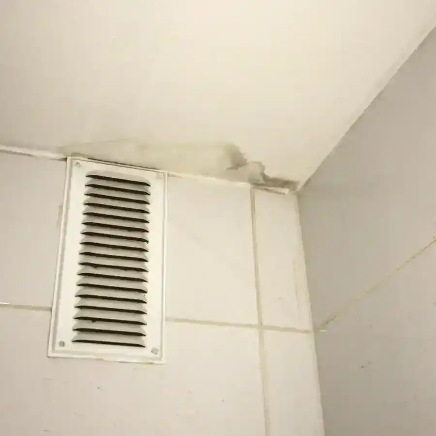 Wasserlecks Wohnhaus Einfamilienhaus Augsburg