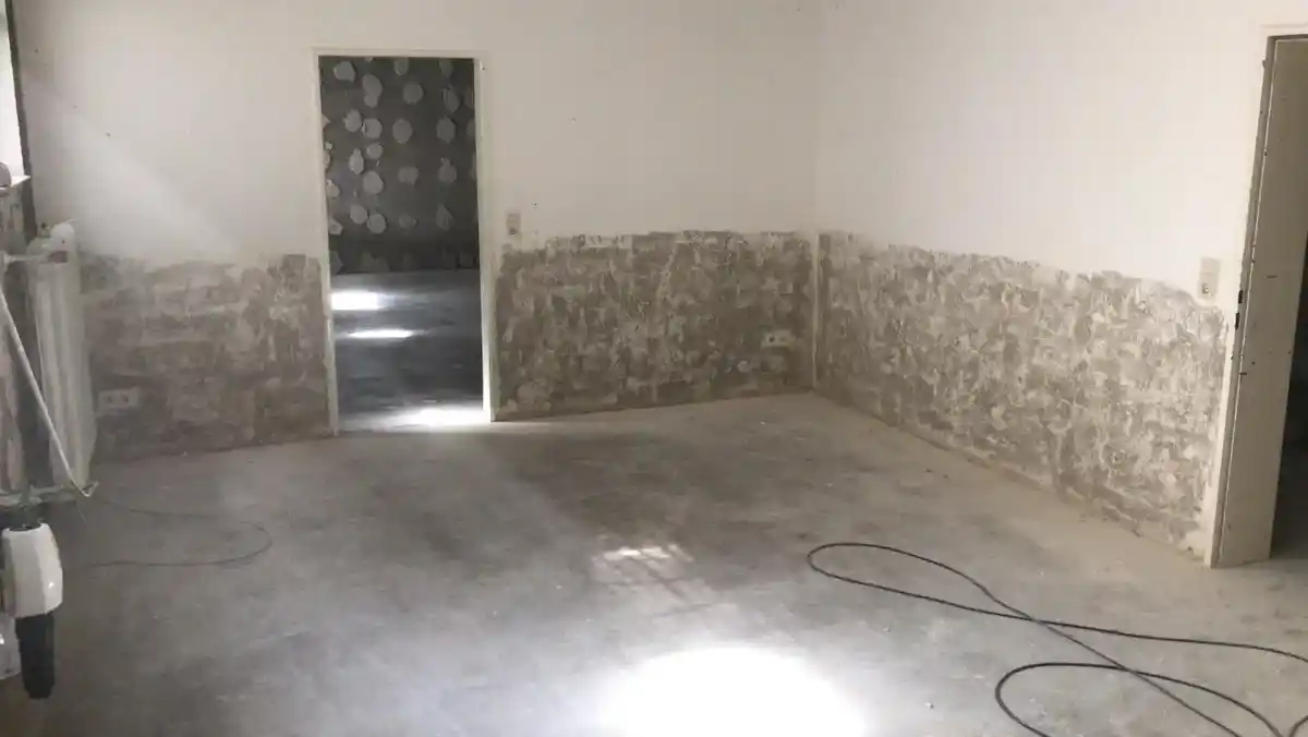 Schimmelbehandlung professionell Augsburg sicher