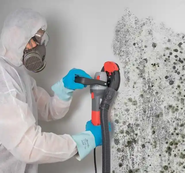 Schimmelsanierung TÜV zertifiziert Augsburg